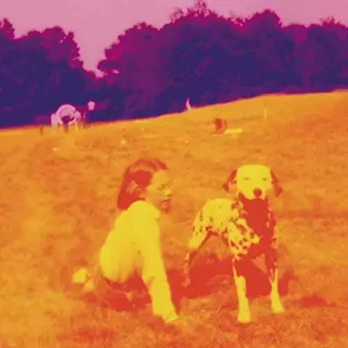 Eels - Blinking Lights and Other Revelations