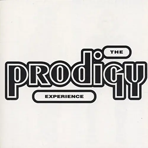 Prodigy - Experience