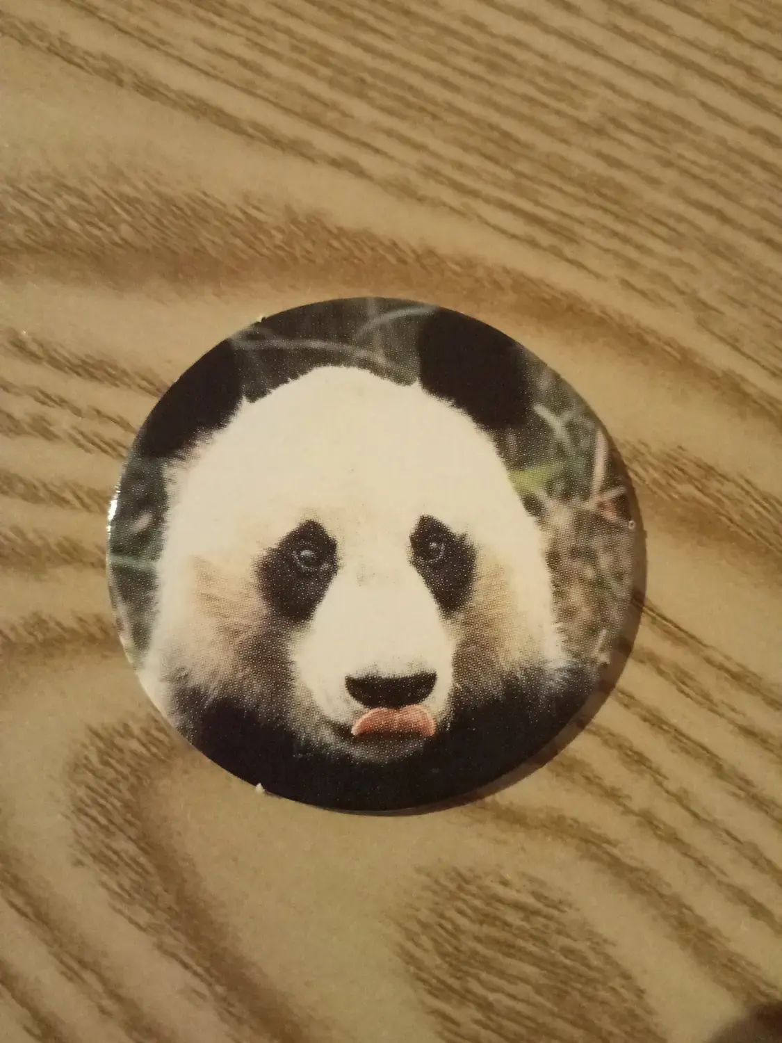 WWF - Panda géant